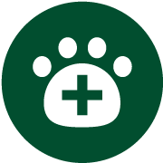 Pet Wellness Icon